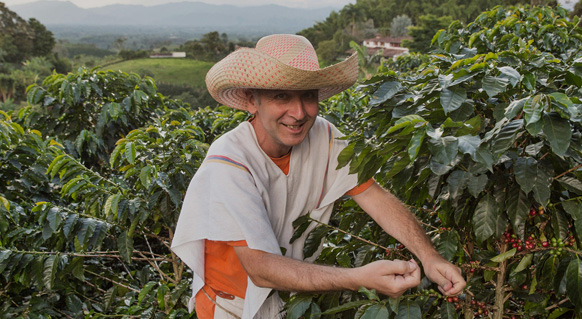 Strengthening Colombian Agricultural Intellectual Property