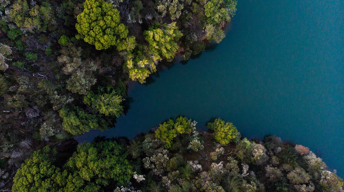 5 DLA Piper Offices Back Peru Debt-for-Nature Swap